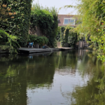 In en uit de sloot.