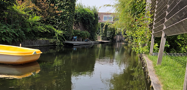 In en uit de sloot.